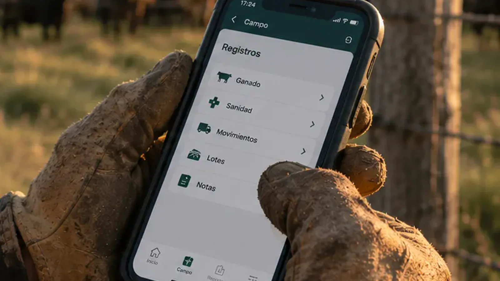 Un par de manos curtidas sosteniendo un celular con guantes de trabajo puestos.